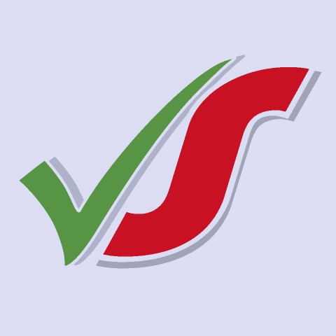 VideoStandards Channel Logo Logo